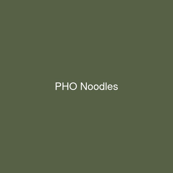 PHO Noodles